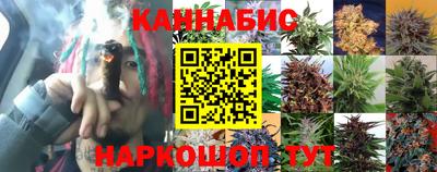 стафф Гусиноозёрск