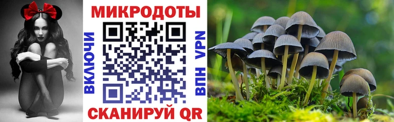 Псилоцибиновые грибы ЛСД  Советск 