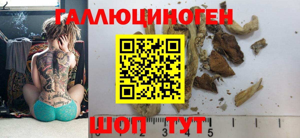Советск  Галлюциногенные грибы мицелий  Вход с VPN 